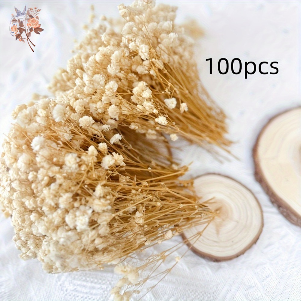 100pcs Mini Dried Baby's Breat - Embellish Craft recension och pris